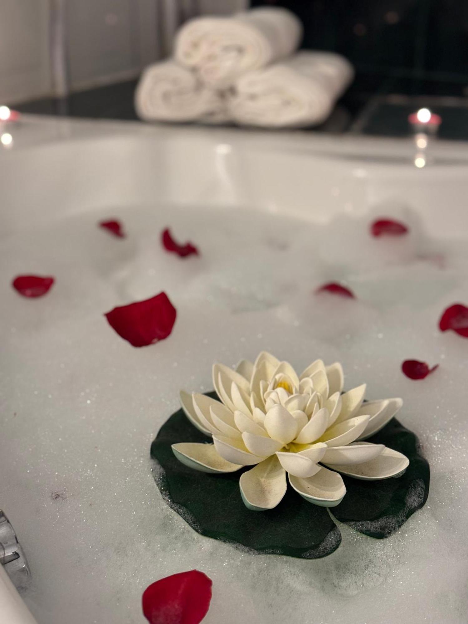 Apartamento Romantic Bathtube Cismigiu Park 2 Bucarest